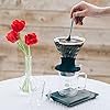 Interruptor do gotejador Hario V60 #02 e #03 Vidro